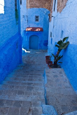 Chefchaouen mavi şehir caddede