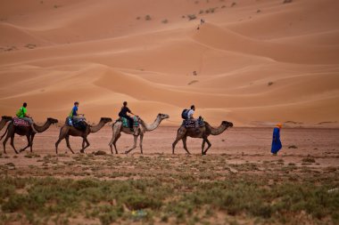  Turist deve karavan