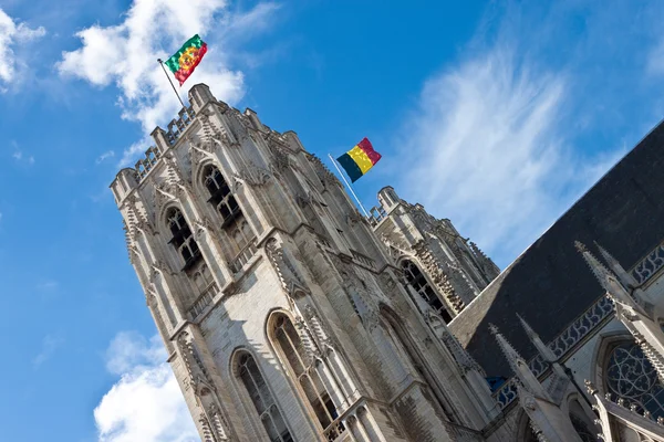 Kathedraal van Brussel — Stockfoto