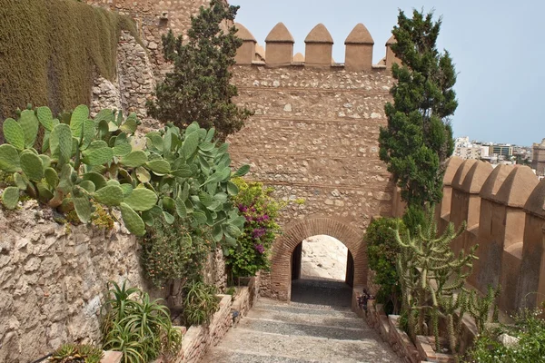 Alte festung alcazaba in almeria — Stockfoto