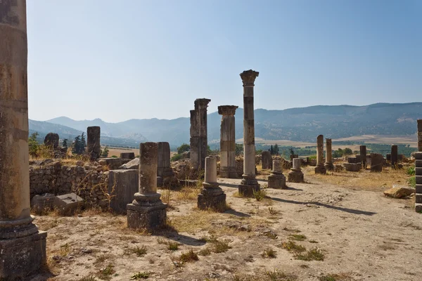 Volubilis — 스톡 사진