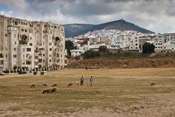 Vue d'une banlieue pauvre à Tétouan — Photo