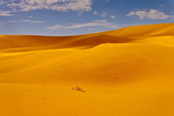 Erg Chebbi — Foto Stock