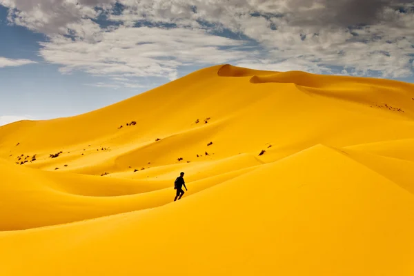 Dune del deserto — Foto Stock