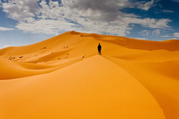 Dune del deserto — Foto Stock