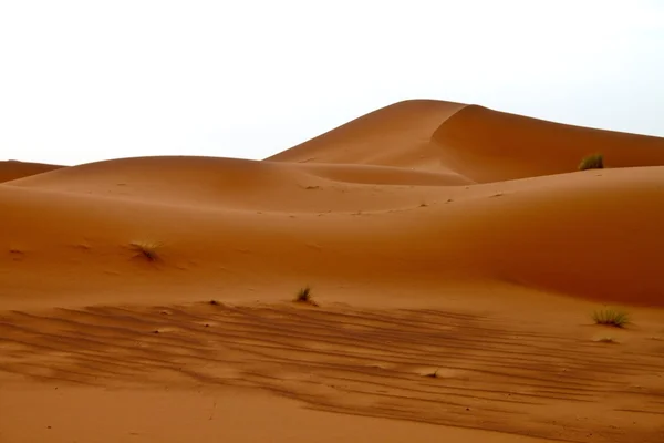 Erg Chebbi — Foto Stock