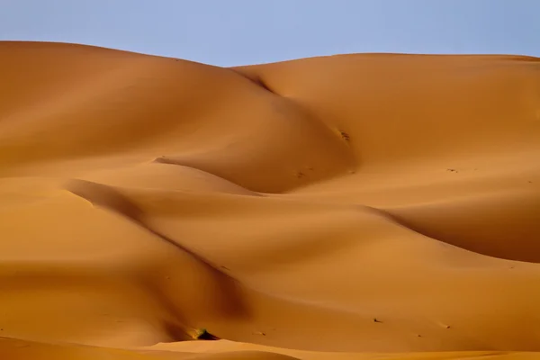 Erg Chebbi — Foto Stock