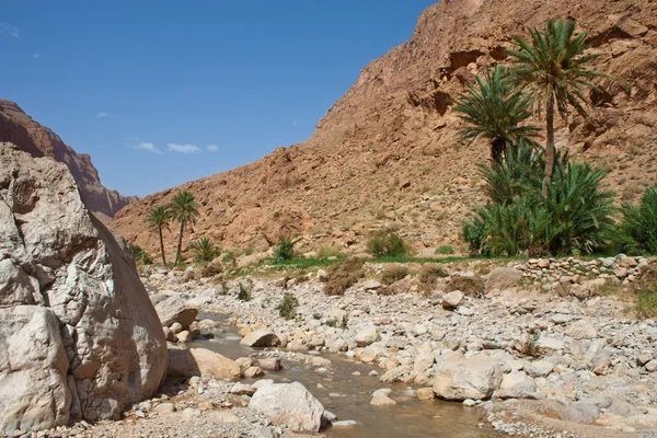 Gola di Todra canyon — Foto Stock