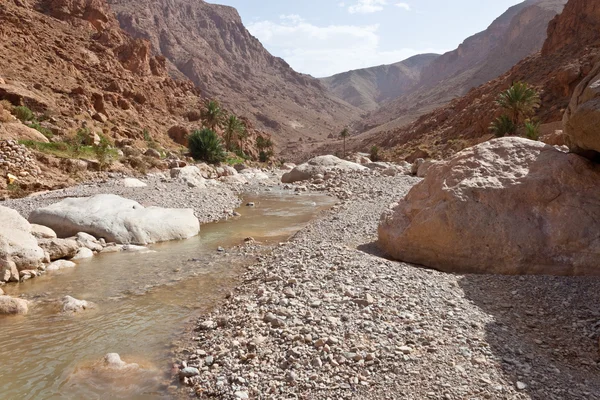 Gola di Todra canyon — Foto Stock