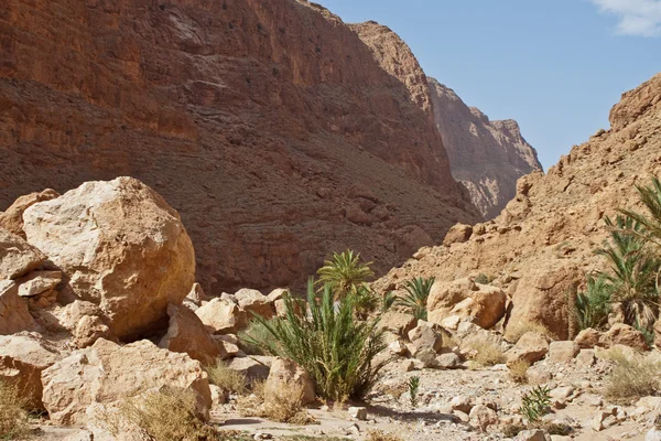 Gola di Todra canyon — Foto Stock