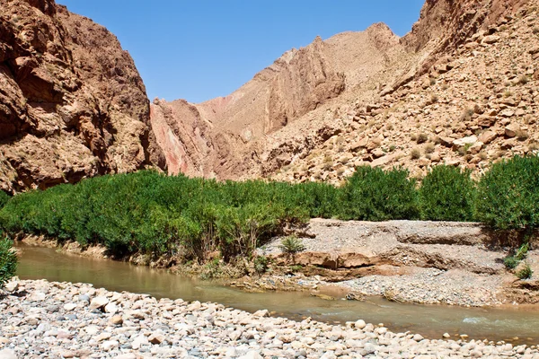 Dades Gorge valley — Stock Photo, Image