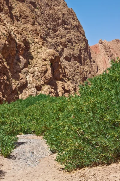 Dades Gorge valley — Stock Photo, Image