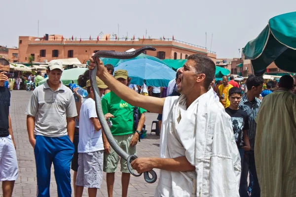 Homem com uma cobra na Praça Jema el Fna — Fotografia de Stock