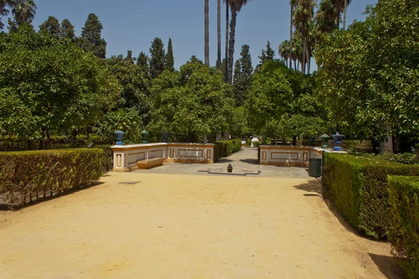 Parque no centro de Sevilha — Fotografia de Stock