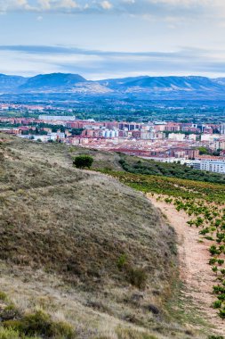 Logroño havadan görünümü