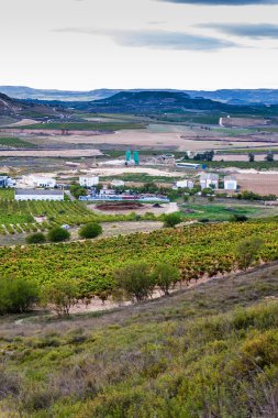 Logroño yakınındaki kırsal