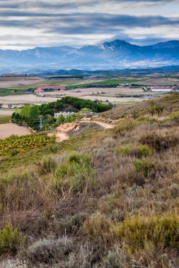 Logroño yakınındaki kırsal