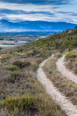 Logroño yakınındaki kırsal