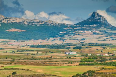 Üzüm bağları ile kırsal