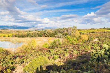 Laguardia village yakınındaki kırsal