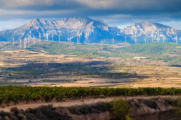 Countryside near Logrono — Stock Photo, Image