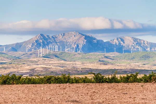 Countryside near Logrono — Stock Photo, Image