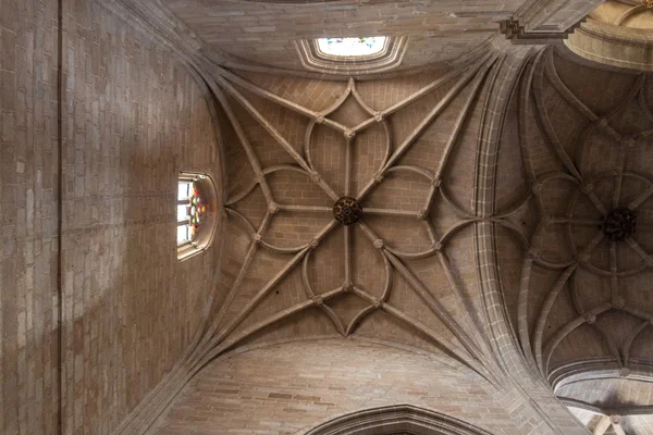 Kathedraal van St. Mary in Calahorra — Stockfoto