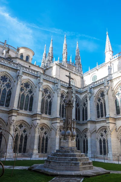 Katedral santa maria — Stok fotoğraf