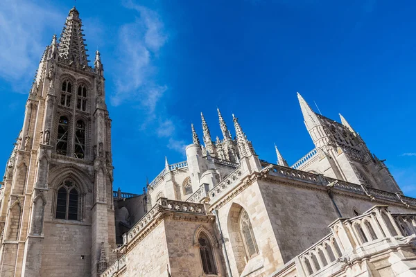 Katedral santa maria — Stok fotoğraf