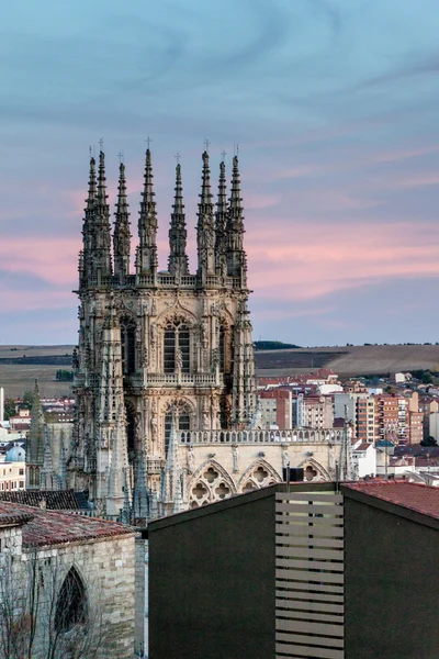 Torri della Cattedrale di Santa Maria — Foto Stock