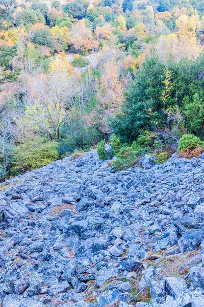 Doğal park Sierra de Cebollera — Stok fotoğraf