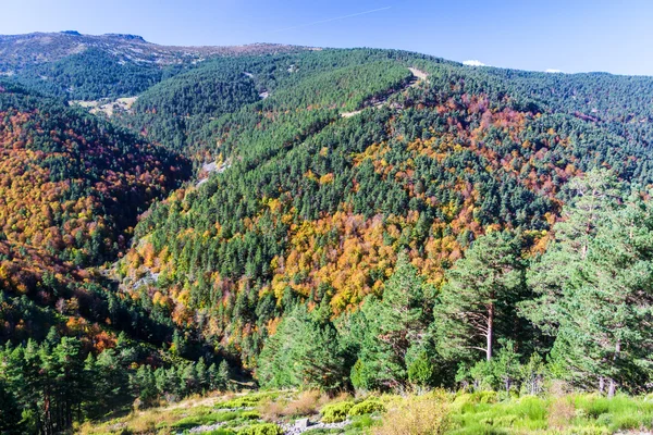 Přírodní park Sierra de Cebollera — Stock fotografie