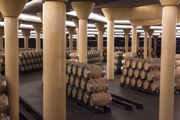 Interno del museo della cantina Vivanco — Foto Stock