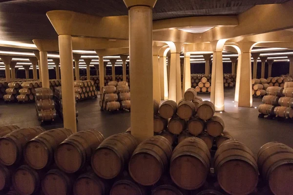 Interior of the Vivanco winery museum — Stock Photo, Image