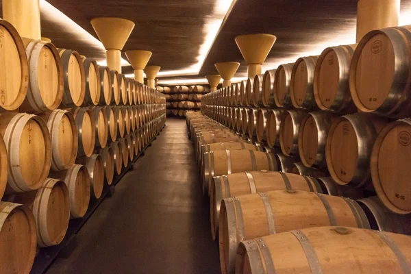 Interno del museo della cantina Vivanco — Foto Stock