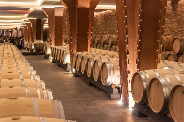 Interior of the Vivanco winery museum — Stock Photo, Image