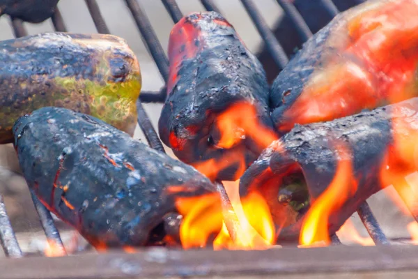 Festival av röd paprika — Stockfoto