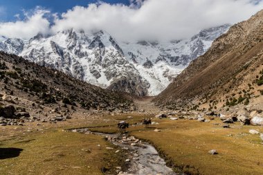 Pakistan 'ın Gilgit-Baltistan bölgesinde Nanga Parbat Dağı' nın altında Herrligkoffer Ana Kampı