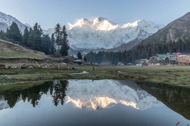 Arka planda Nanga Parbat ile Peri Çayırları, Pakistan