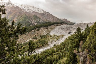 Pakistan 'ın Gilgit-Baltistan bölgesinde Peri Çayırı yakınlarında Rakhiot buzulu