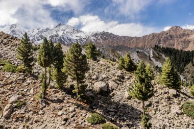 Pakistan 'ın Gilgit-Baltistan bölgesindeki Rama Vadisi üzerindeki dağlar