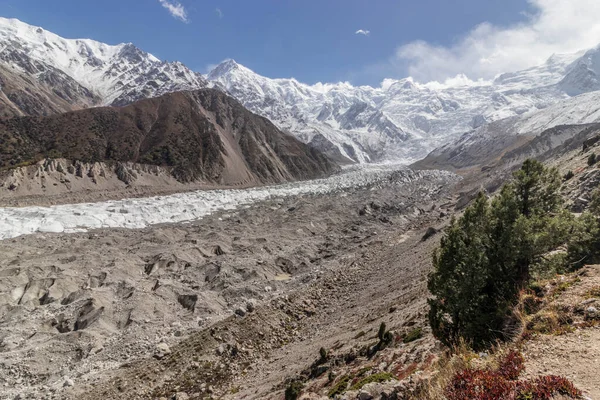 Pakistan 'ın Gilgit-Baltistan bölgesinde Nanga Parbat dağının altındaki Rakhiot buzulu