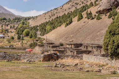 Pakistan 'ın Gilgit-Baltistan bölgesinde, Rupal Vadisi' nde küçük bir yerleşim yeri
