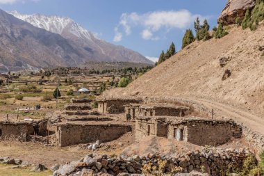 Pakistan 'ın Gilgit-Baltistan bölgesinde, Rupal Vadisi' nde küçük bir yerleşim yeri