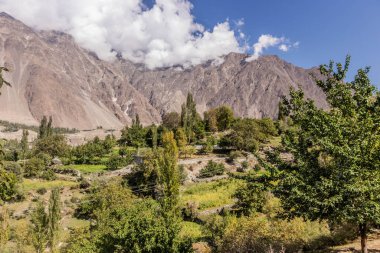 Hunza Vadisi 'nin sonbahar manzarası, Pakistan' ın Gilgit-Baltistan bölgesi