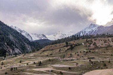 Pakistan 'ın Gilgit-Baltistan bölgesindeki Astore kasabasının yukarısındaki Rama çayırları