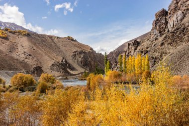 Pakistan 'ın Phander Vadisi' ndeki Gilgit nehrinin sonbahar manzarası