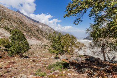 Pakistan 'ın Gilgit-Baltistan bölgesinde Nanga Parbat dağının altındaki Rakhiot vadisi