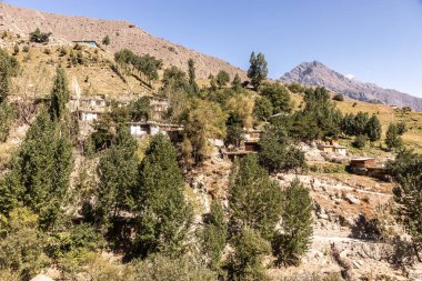 Pakistan 'ın Gilgit-Baltistan bölgesindeki Astore kasabasının evleri