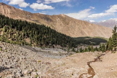Pakistan 'ın Gilgit-Baltistan bölgesindeki Astore kasabasının üzerindeki Rama Vadisi
